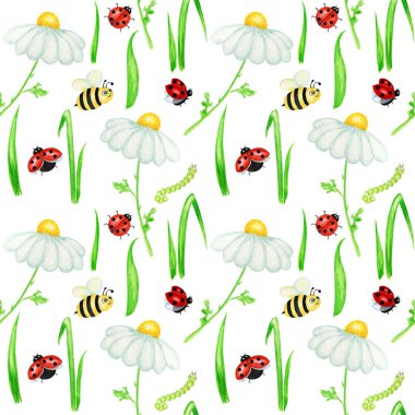 Suluboya papatya çiçeği desenli, sinekböceği desenli, arı resimli. Beyaz arka planda el yapımı botanik bitkileri. Beyaz çiçekler, tomurcuklar, saplar, çimenler. Vahşi botanik bahçesi çiçek açıyor.