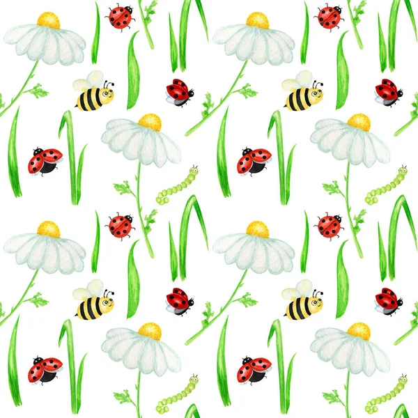 Watercolor daisy chamomile flower seamless pattern with fly ladybug, bee illustration. Hand drawn botanical herbs on white background. White flowers, buds, stems, grass. Wild botanical garden bloom — Stock fotografie
