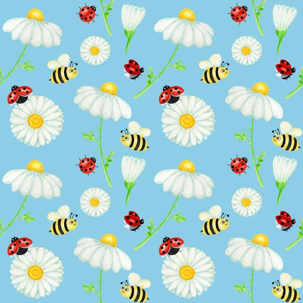 Watercolor daisy chamomile flower seamless pattern with fly ladybug, bee illustration. Hand drawn botanical herbs on blue background. White flowers, buds, stems, grass. Wild botanical garden bloom — 图库照片