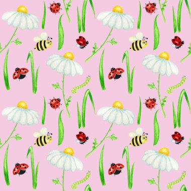 Suluboya papatya çiçeği desenli, sinekböceği desenli, arı resimli. Pembe arka planda el yapımı botanik bitkileri. Beyaz çiçekler, tomurcuklar, saplar, çimenler. Vahşi botanik bahçesi çiçek açıyor.