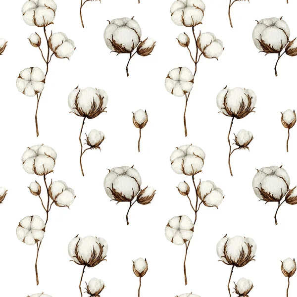 Ramas de flores de algodón acuarela patrón sin costura. Botanical Dibujado a mano Eco producto ilustración. Algodón flores brotes bolas en estilo vintage. Diseño de textura de tela de naturaleza de bola vegetal — Foto de Stock