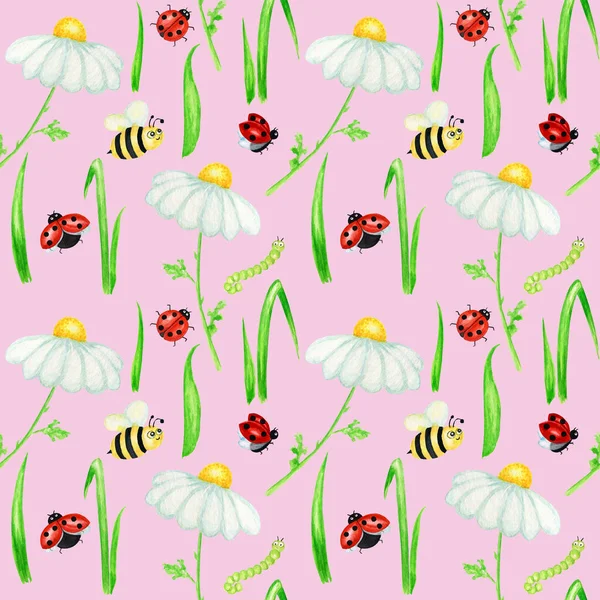 Υδατογραφία μαργαρίτα χαμομήλι λουλούδι αδιάλειπτη μοτίβο με πασχαλίτσα μύγα, μέλισσα εικονογράφηση. Χειροποίητα βοτανικά βότανα σε ροζ φόντο. Λευκά λουλούδια, μπουμπούκια, κοτσάνια, γρασίδι. Άγριος βοτανικός κήπος ανθίζει — Φωτογραφία Αρχείου