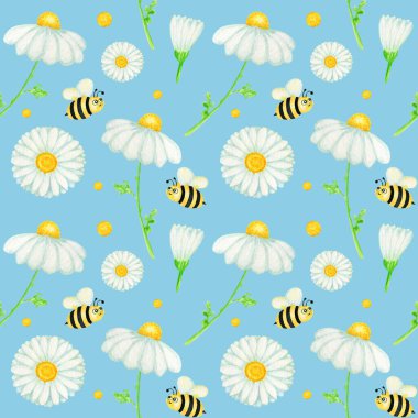 Suluboya papatya çiçeği desenli, sineklik desenli. Mavi arka planda el yapımı botanik bitkileri. Beyaz çiçekler, tomurcuklar, saplar, çimenler. Vahşi botanik bahçesi çiçek açıyor.