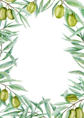 Yeşillik suluboya zeytin yaprakları çerçevesi, beyaz arka planda gerçekçi zeytin dalı çizimi, elle boyanmış düğün davetiyesi. Poster, tebrik kartı, etiket konsepti için izole sınır tasarımı.