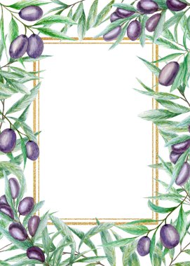 Yeşillik suluboya zeytin altın çerçeve bırakır, beyaz arka planda gerçekçi zeytin dalı çizimi, elle boyanmış düğün davetiyesi. Poster, tebrik kartı, etiket konsepti için sınır tasarımı.