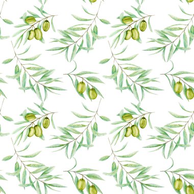 Kusursuz desenli suluboya yeşil zeytin dalı yaprakları, beyaz arka planda gerçekçi zeytin örnekleri, el boyalı kumaş dokusu. Davetiyeler için tasarım, poster, tebrik kartı, etiket konsepti