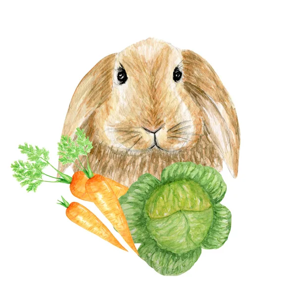 Akwarela sping Easter królik Ilustracja cute zabawny królik z warzywami marchewka izolowane na białym tle, karta na Wielkanoc — Zdjęcie stockowe