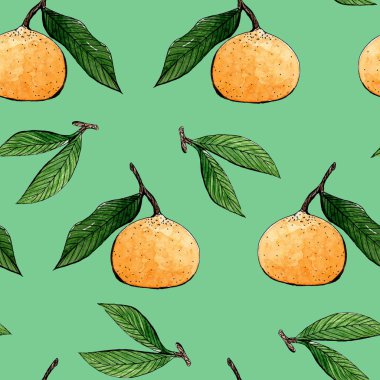 bir sp ile suluboya dikişsiz desen mandalina illüstrasyon
