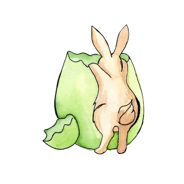 Lapin brun de Pâques jette un coup d'oeil dans une aquarelle d'oeuf vert — Photo