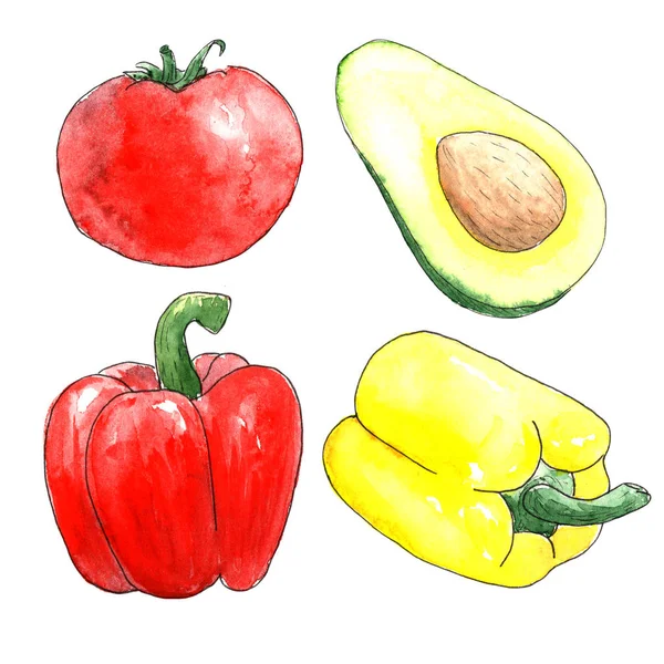 Акварельні овочі на білому фоні. ескіз помідор, болгарський червоний і жовтий перець і авокадо. — стокове фото