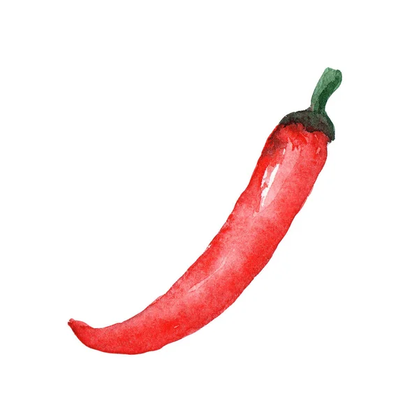 Watercolor illustration of a vegetable red chili pepper on a white background — Stock Photo, Image