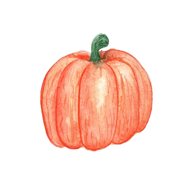 Ilustração aquarela de uma laranja de abóbora vegetal em um fundo branco — Fotografia de Stock
