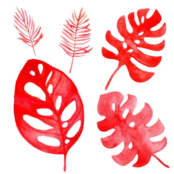 Illustration aquarelle d'une feuille tropicale de couleur corail . — Photo