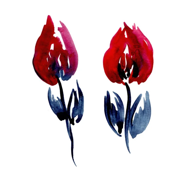 Ilustração aquarela de flores vermelhas simples com um caule e le — Fotografia de Stock