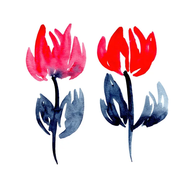 Illustration aquarelle de fleurs rouges simples avec une tige et le — Photo