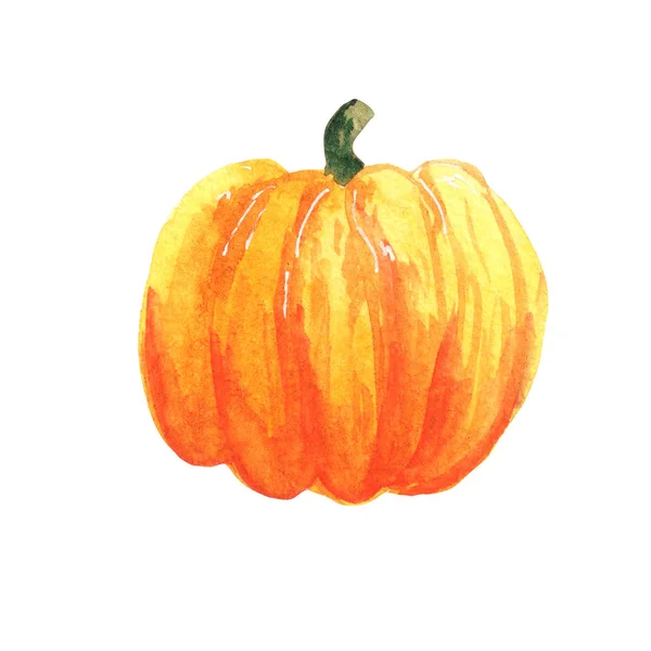 Aquarell-Kürbis-Illustration auf weißem Hintergrund. Herbsternte, für die Feiertage halloween. — Stockfoto