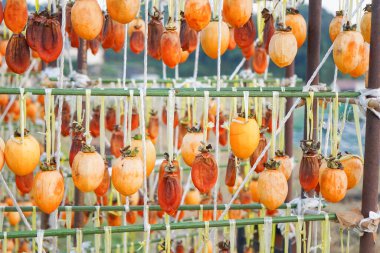 Kurumuş hurma yakından.