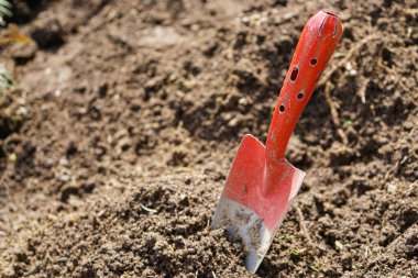 Toprakta kırmızı kürek, bahçecilik.