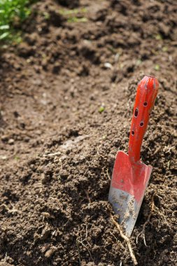 Toprakta kırmızı kürek, bahçecilik.