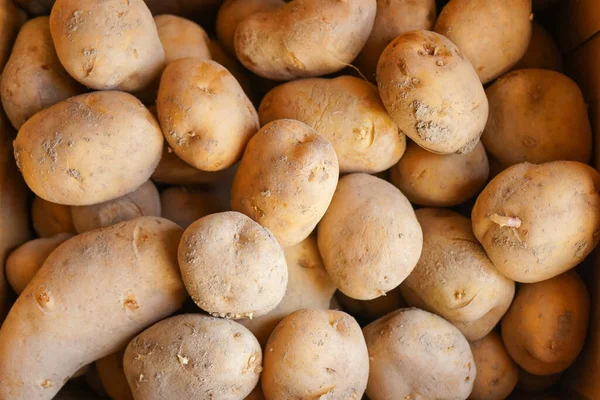 Fresh Harvested Potatoes Close Shot — Stock Photo, Image