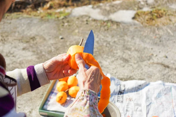 Torkad Persimon Närbild — Stockfoto