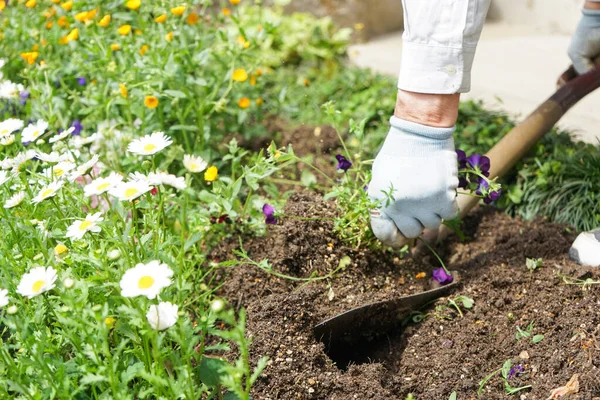 Imagem Jardinagem Trabalhos Agrícolas — Fotografia de Stock