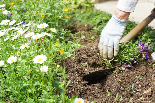 Bahçıvanlık, tarım işleri. 