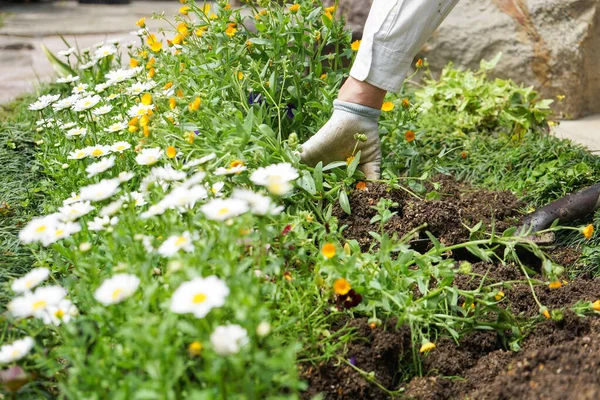 Imagem Jardinagem Trabalhos Agrícolas — Fotografia de Stock