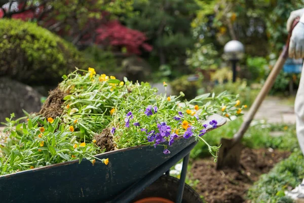 Imagem Jardinagem Trabalhos Agrícolas — Fotografia de Stock