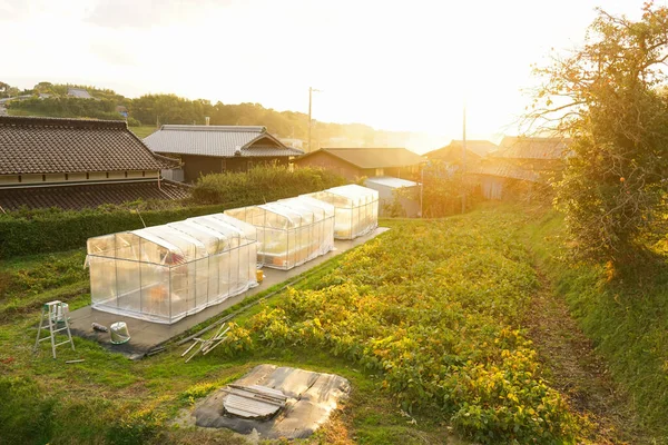Pohled Zemědělskou Komunitu Japonsku Slunečného Dne — Stock fotografie