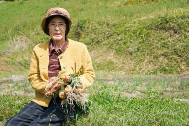 Sebze toplayan yaşlı Asyalı kadın.