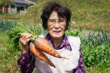 Sebze toplayan yaşlı Asyalı kadın.