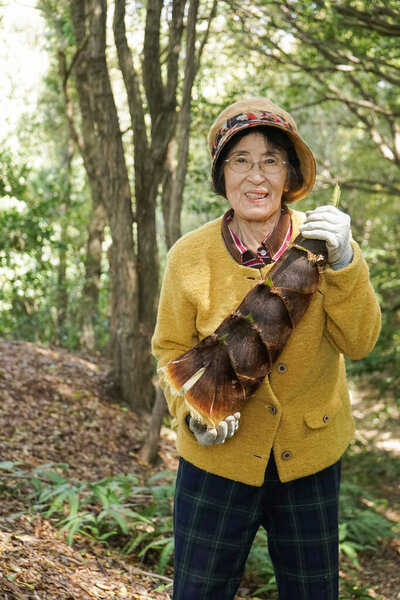 Пожилая женщина собирает бамбук