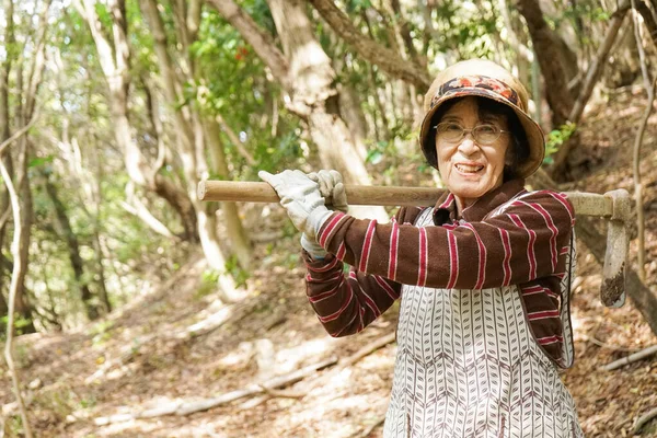 Ouderen Aziatische Vrouw Oogsten Een Bamboe Shoot — Stockfoto