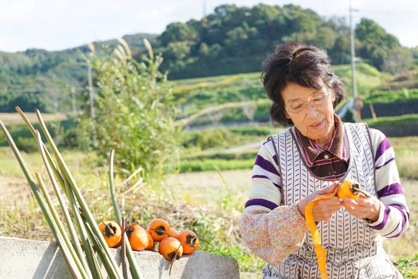 亚洲老年妇女收获蔬菜 — 图库照片