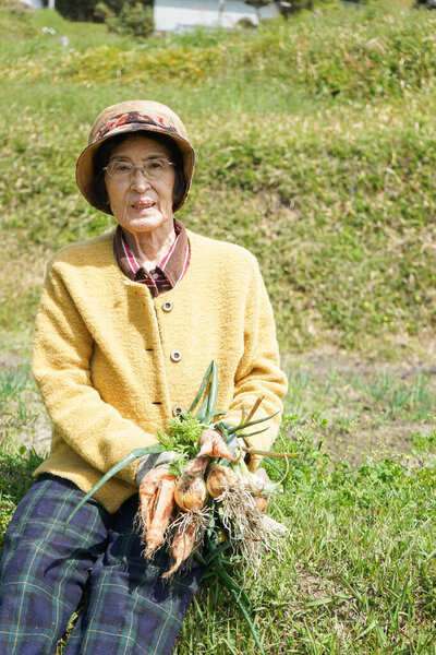 Пожилая азиатка, собирающая овощи