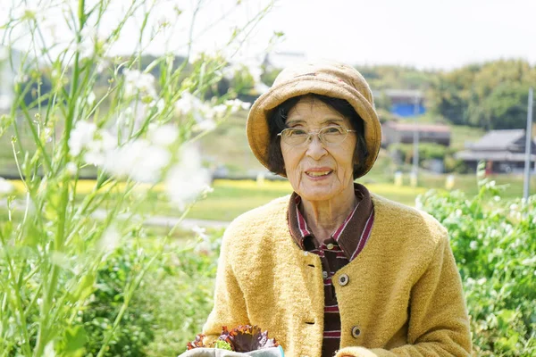 亚洲老年妇女收获蔬菜 — 图库照片