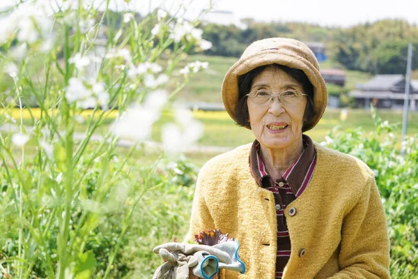 Ouderen Aziatische Vrouw Oogsten Groenten — Stockfoto