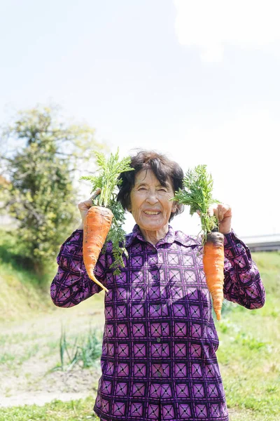 Personnes Âgées Asiatique Femme Récolte Légumes — Photo