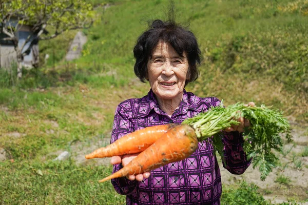 Personnes Âgées Asiatique Femme Récolte Légumes — Photo