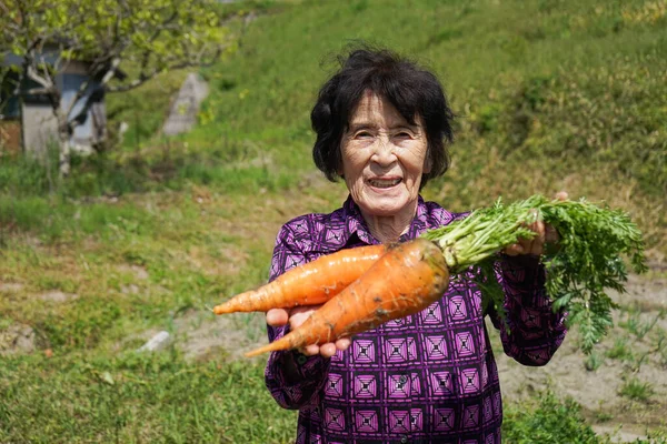Personnes Âgées Asiatique Femme Récolte Légumes — Photo