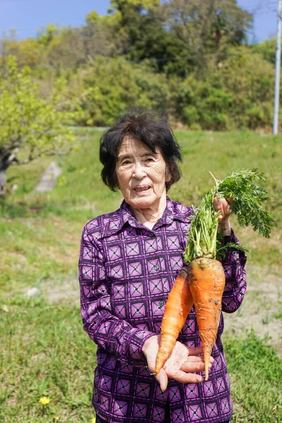 Personnes Âgées Asiatique Femme Récolte Légumes — Photo