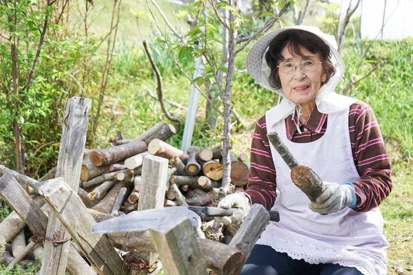 Äldre Asiatisk Kvinna Hugga Ved — Stockfoto