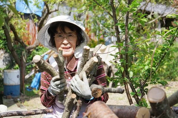 年长的亚洲女人砍柴 — 图库照片