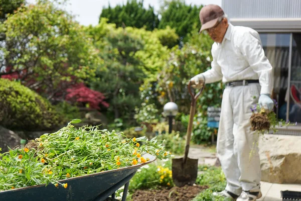 Äldre Man Som Arbetar Trädgården — Stockfoto