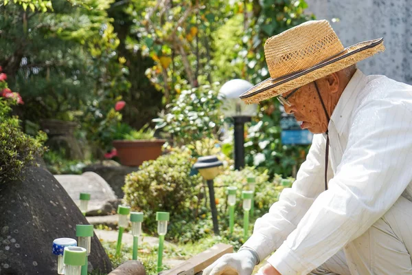 在花园里干活的老年人 — 图库照片