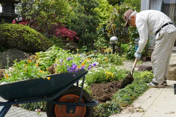 Elderly Man Working Garden Stock Picture