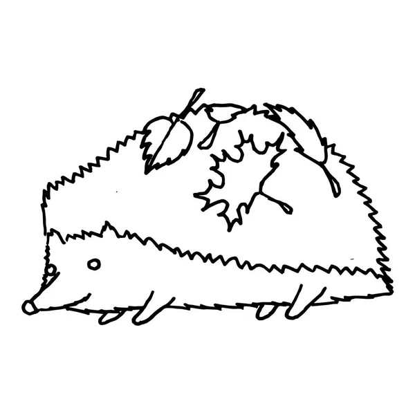 Erizo en hojas de otoño. Boceto monocromático, dibujo a mano. Esquema negro sobre fondo blanco. Ilustración vectorial — Archivo Imágenes Vectoriales