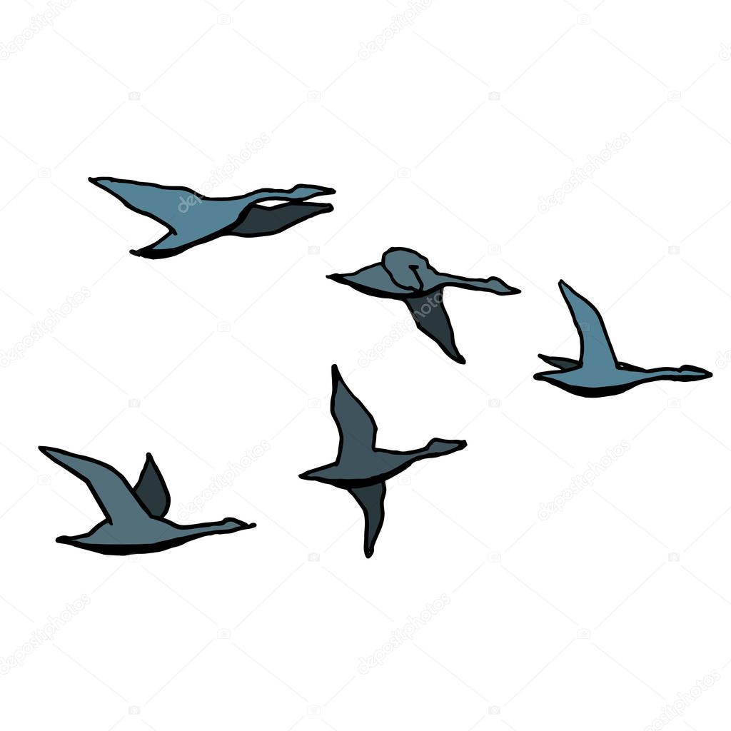 Geese flock, birds triangle. Colorful hand drawing sketch on white background. Vector illustration