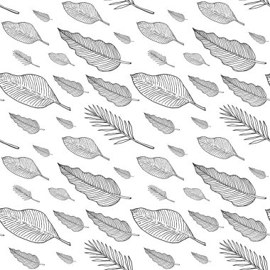 Yaprakları veya tüyleri ile dikişsiz desen. Beyaz arka plandaki siyah anahatlar. Vektör illüstrasyon. Eps10